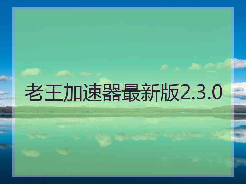 老王加速器最新版2.3.0