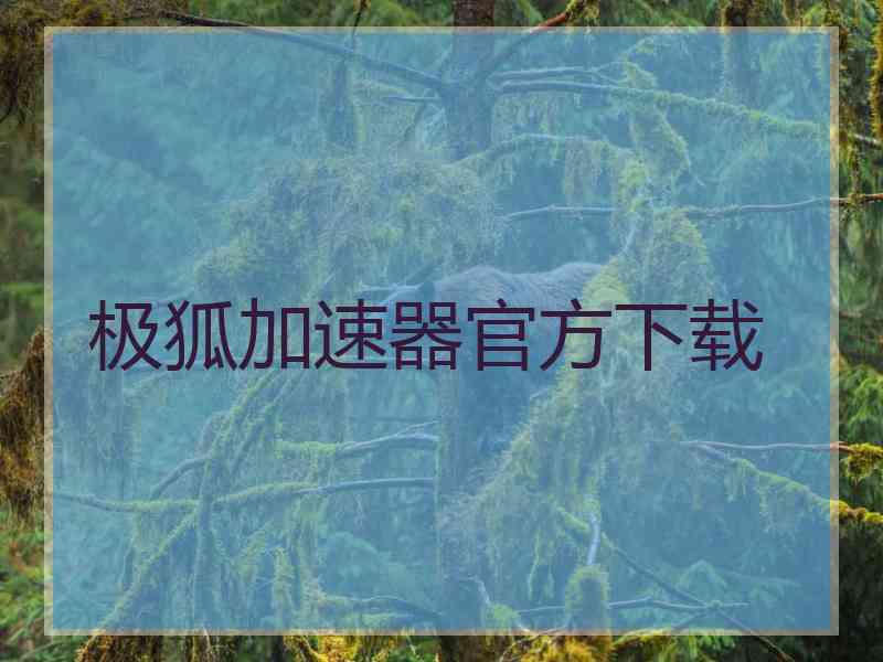 极狐加速器官方下载