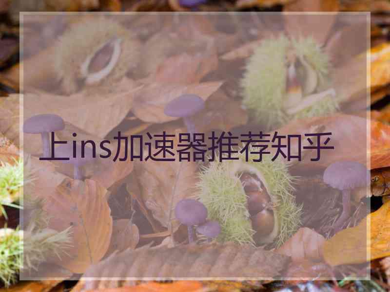 上ins加速器推荐知乎