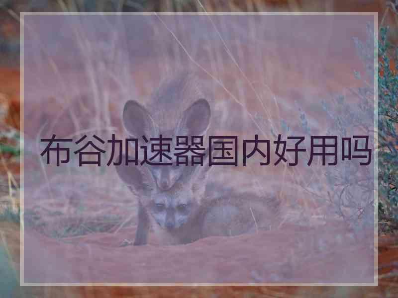 布谷加速器国内好用吗