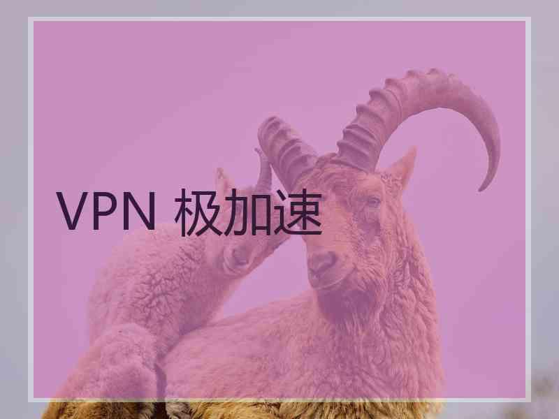 VPN 极加速