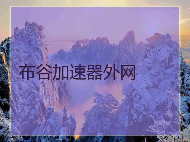布谷加速器外网