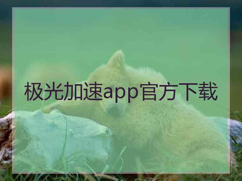 极光加速app官方下载