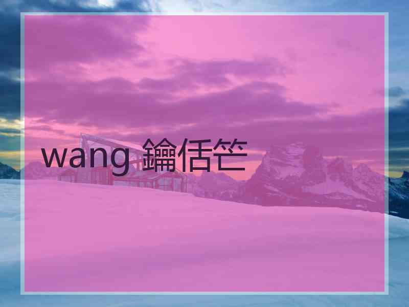 wang 鑰佸笀