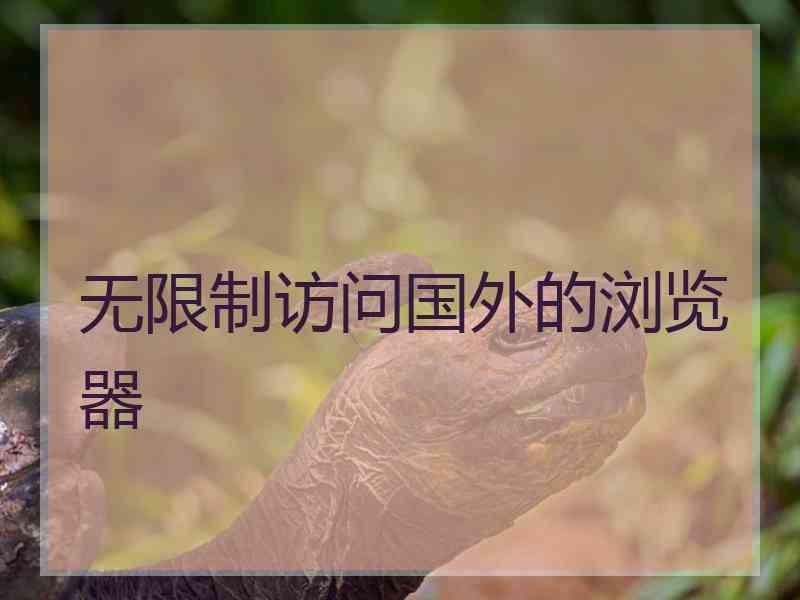 无限制访问国外的浏览器