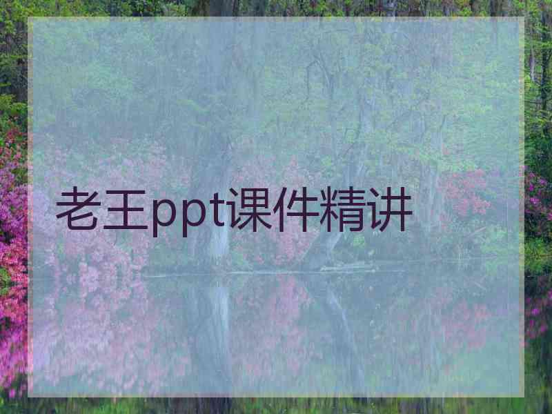 老王ppt课件精讲