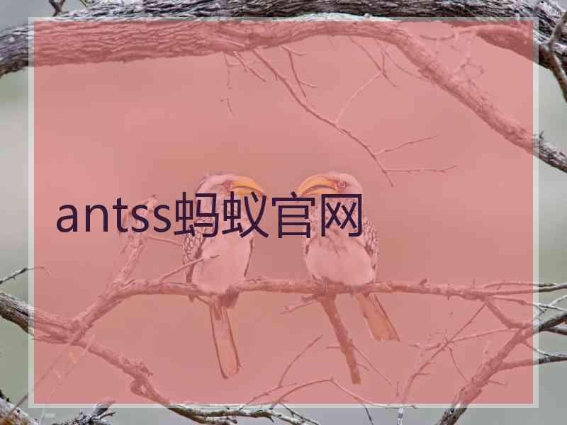 antss蚂蚁官网