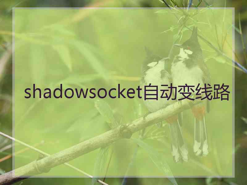 shadowsocket自动变线路