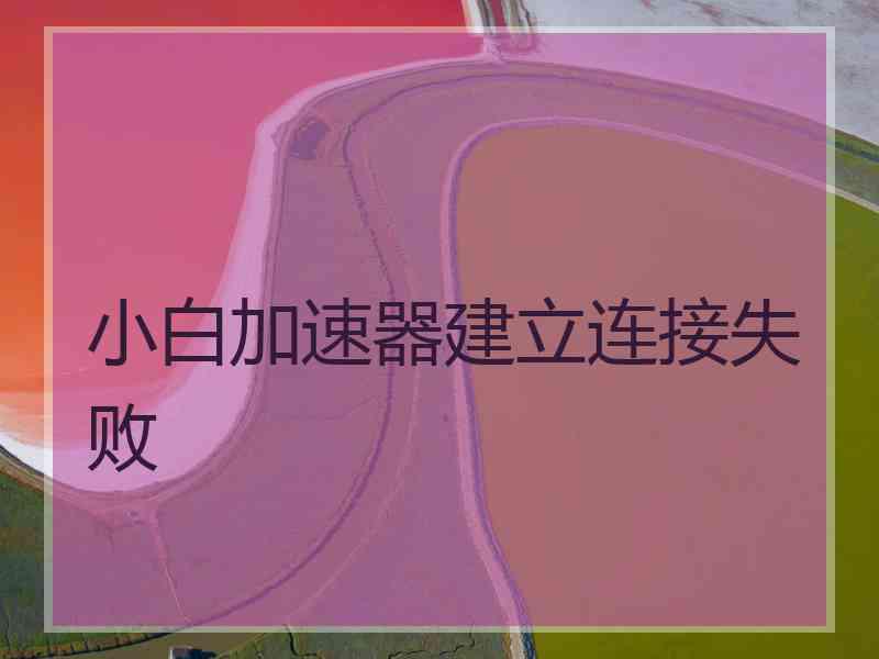 小白加速器建立连接失败