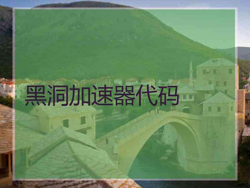 黑洞加速器代码