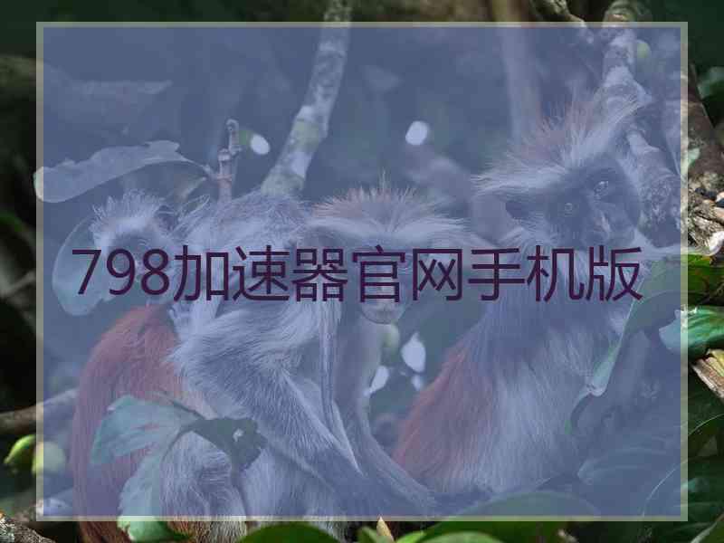 798加速器官网手机版