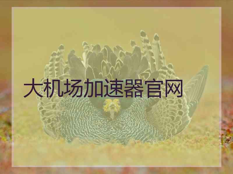 大机场加速器官网