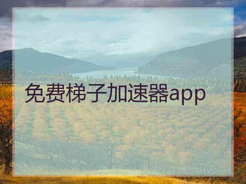 免费梯子加速器app