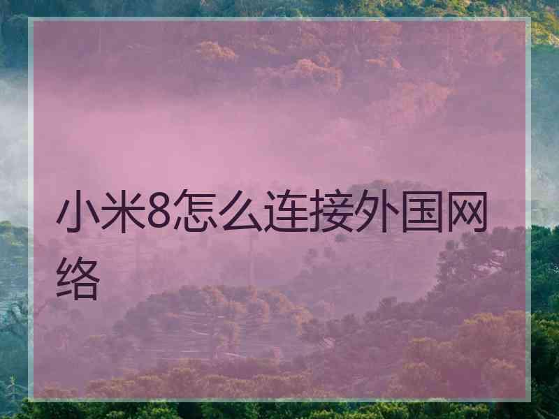 小米8怎么连接外国网络
