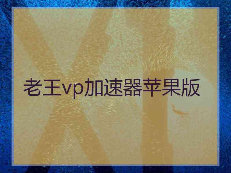 老王vp加速器苹果版