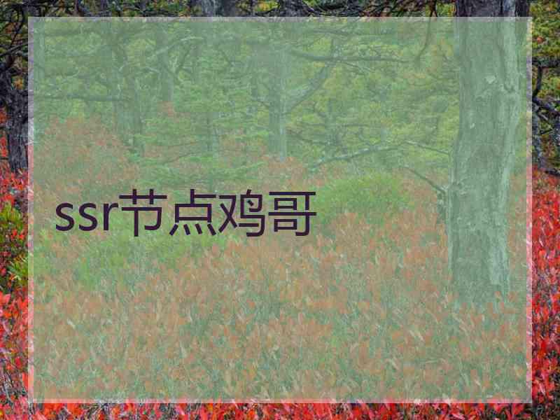 ssr节点鸡哥