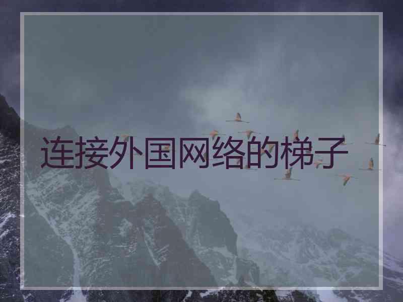 连接外国网络的梯子