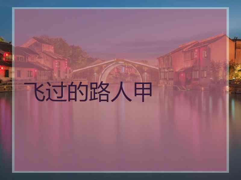 飞过的路人甲