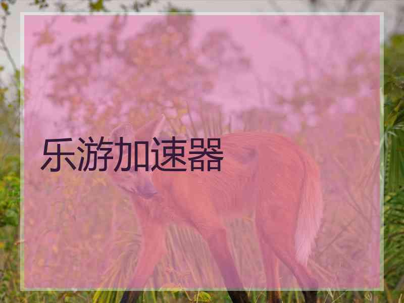 乐游加速器