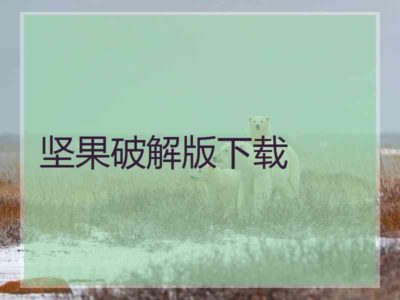 坚果破解版下载