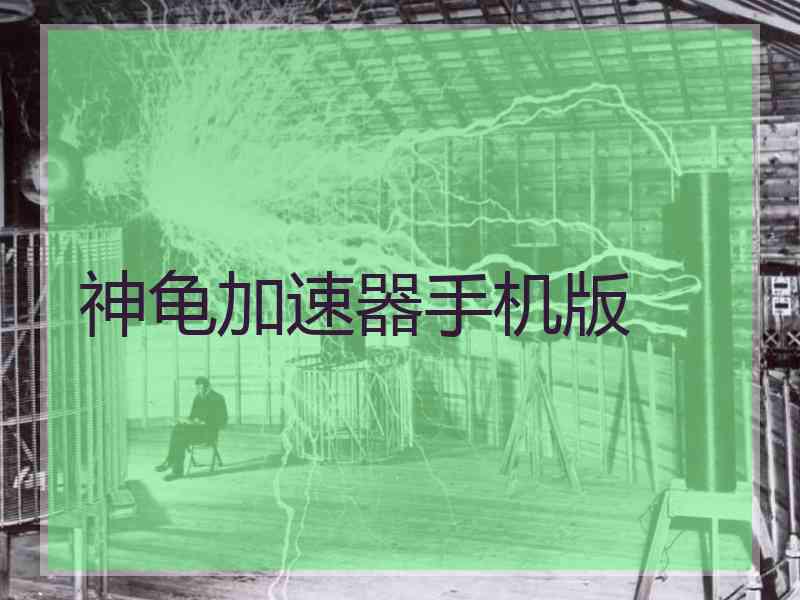 神龟加速器手机版