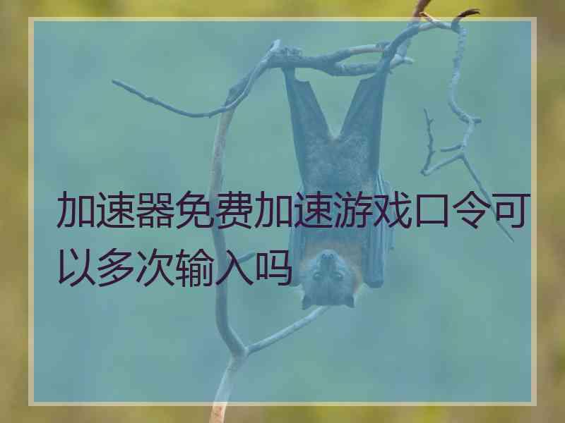 加速器免费加速游戏口令可以多次输入吗