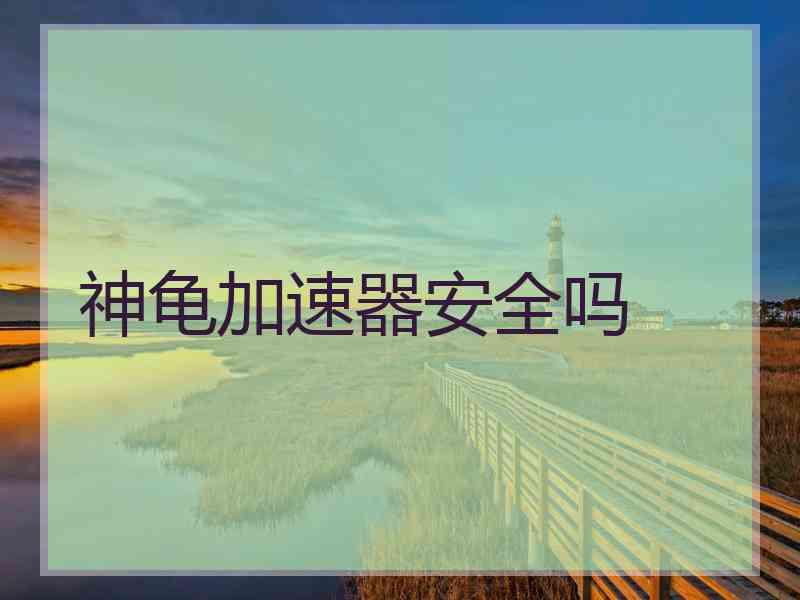 神龟加速器安全吗