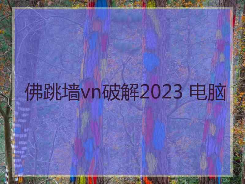 佛跳墙vn破解2023 电脑