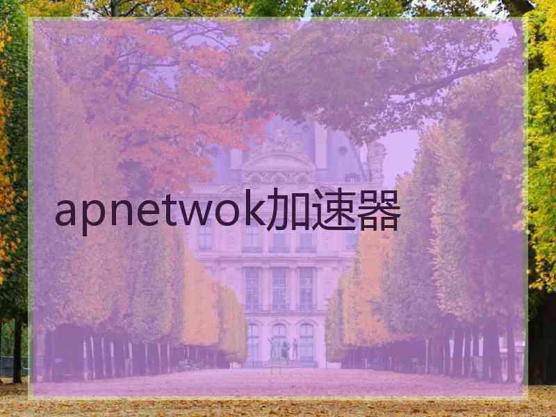 apnetwok加速器