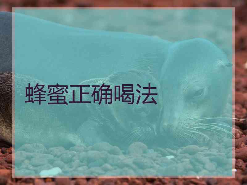 蜂蜜正确喝法