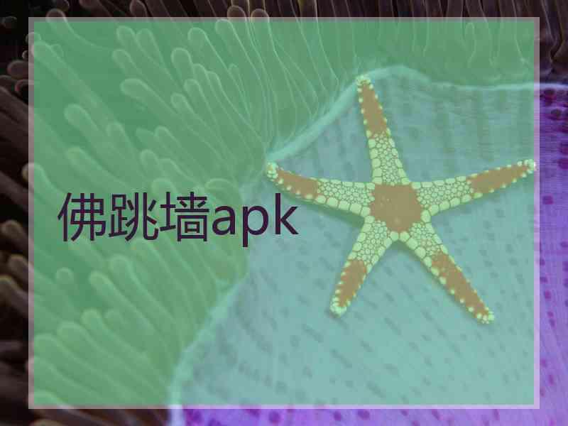 佛跳墙apk