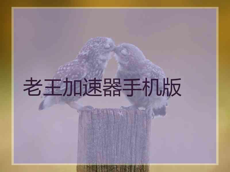 老王加速器手机版