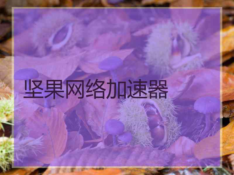 坚果网络加速器
