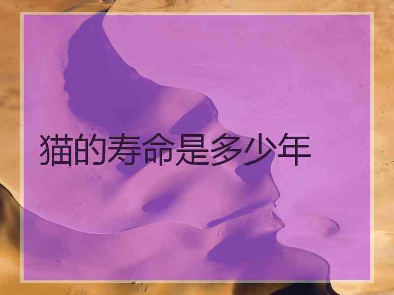 猫的寿命是多少年