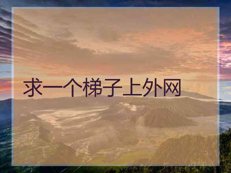 求一个梯子上外网