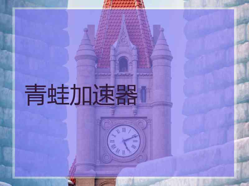 青蛙加速器