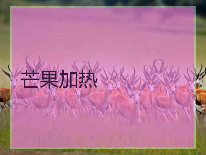 芒果加热