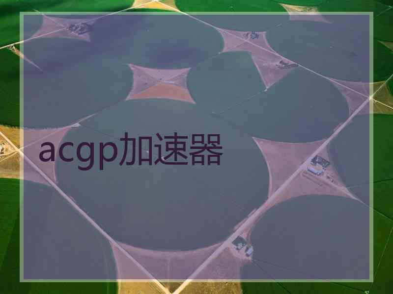acgp加速器
