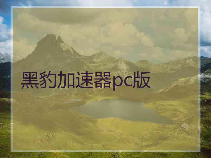 黑豹加速器pc版