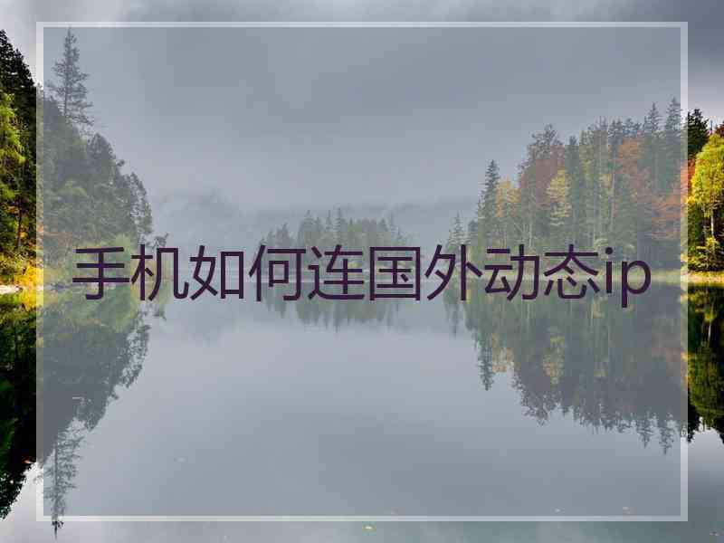 手机如何连国外动态ip