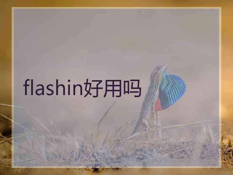 flashin好用吗