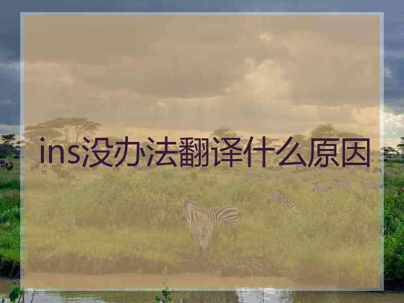 ins没办法翻译什么原因