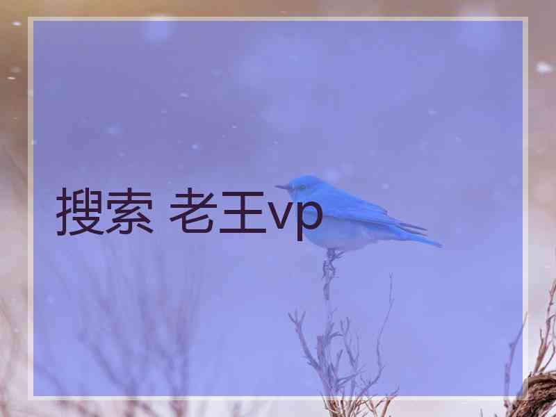 搜索 老王vp