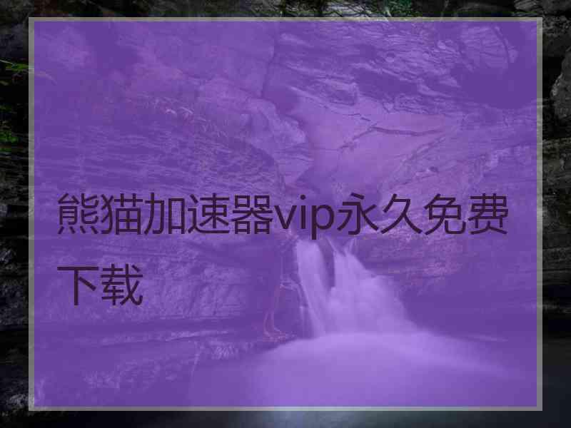 熊猫加速器vip永久免费下载