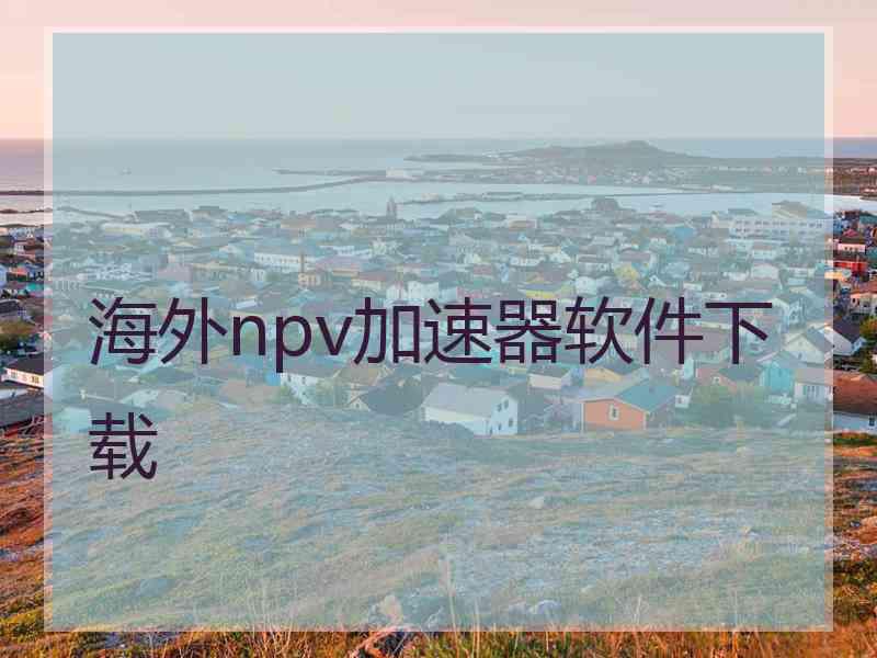 海外npv加速器软件下载