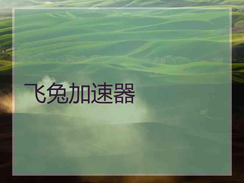 飞兔加速器