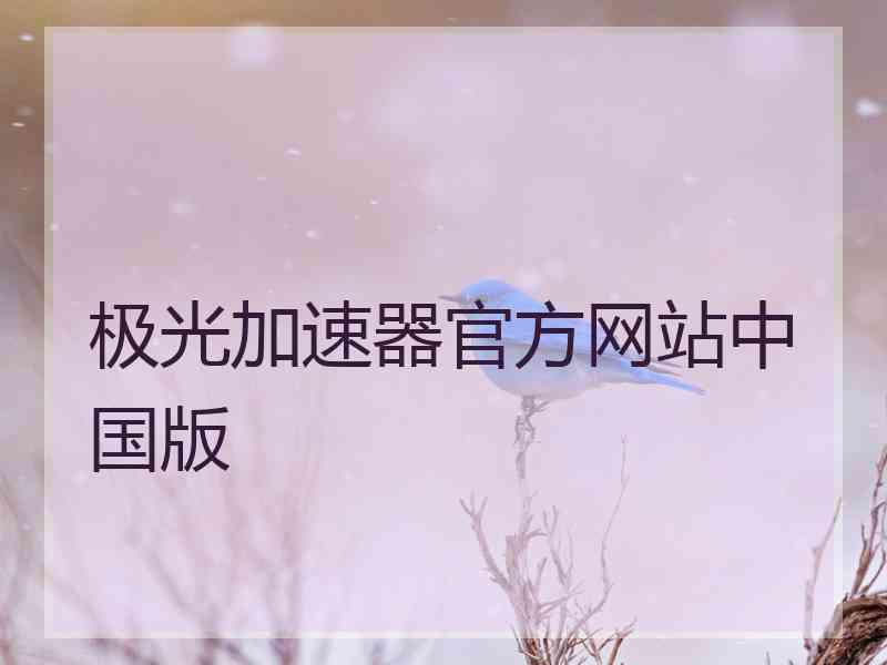 极光加速器官方网站中国版