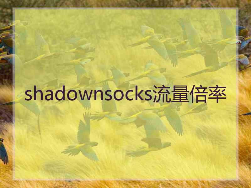 shadownsocks流量倍率
