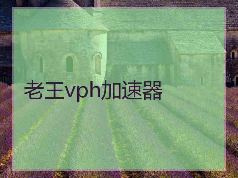 老王vph加速器