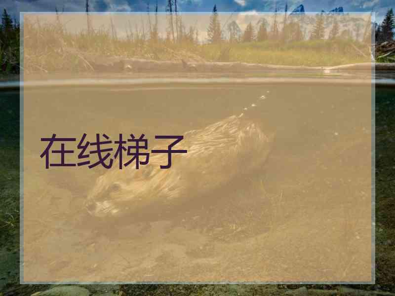 在线梯子